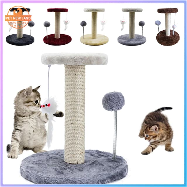 Ảnh sản phẩm Cây cào móng hai tầng Petland-shop