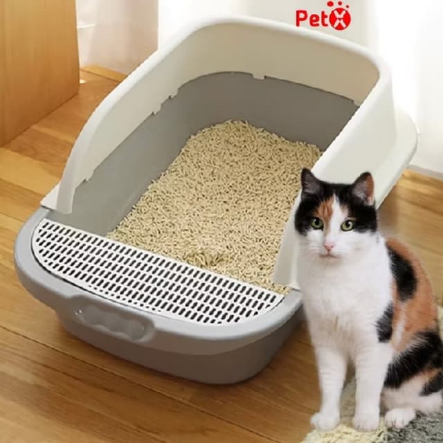 Sản phẩm Khay Vệ Sinh Thành Cao Chống Văng (Size XL) - Hình ảnh thực tế và đánh giá chi tiết