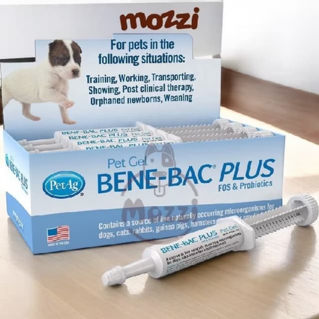 Sản phẩm Bene-Bac Plus Probiotic Gel - Tuýp 15g - Hình ảnh thực tế và đánh giá chi tiết