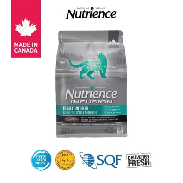 Sản phẩm Nutrience Infusion Healthy Adult - Hình ảnh thực tế và đánh giá chi tiết