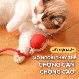 Ảnh sản phẩm Bóng đồ chơi mèo tự động thông minh cảm biến, sạc USB